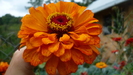 P1070419