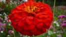 P1070420