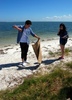 Nick_jonas_cleanup_the_beach (5)