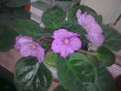 Image0653