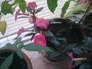 Image0654
