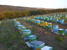 prigorii 2010 005