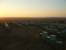 prigorii 2010 007