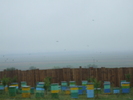 DSCF2886