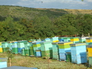 DSCF2863