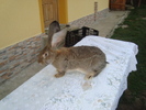 DSC01330