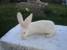 DSC01338