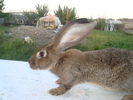 Copy of DSC01285