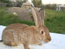 Copy of DSC01298