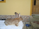 Copy of DSC01302