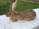 Copy of DSC01307