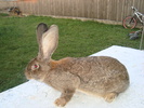 Copy of DSC01308