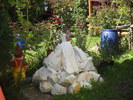 DSCN5227
