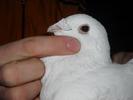 167