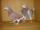 205