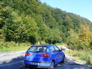 DSCF3729
