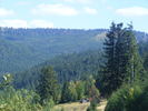 DSCF3767