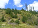 DSCF3785