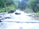 DSCF3810