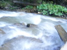 DSCF3811