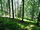 DSCF1996