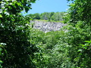 DSCF2005