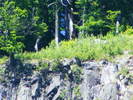 DSCF2010