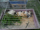 SAM_1209
