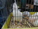 SAM_1224