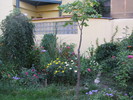 Picture 608