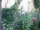 Picture 639