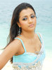 Biography-of-Trisha-Krishnan