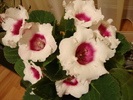 DSC01257