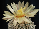 DSC08406