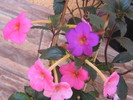 15 septembrie 072