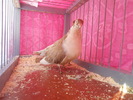 DSCN2056