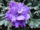 19 sep 2010