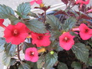 15 septembrie 073