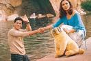 chalte-chalte-wallpaper