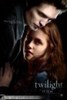 twilight saga100%