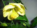 17 sept 2010