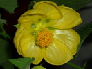 17 sept 2010