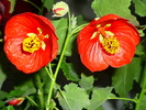 17 sept 2010