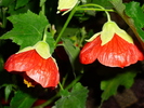 17 sept 2010