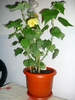 17 sept 2010