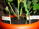 18 sept 2010