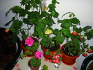 19 sept 2010