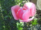 DSC01880