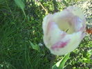 DSC01881