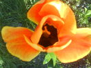 DSC01882